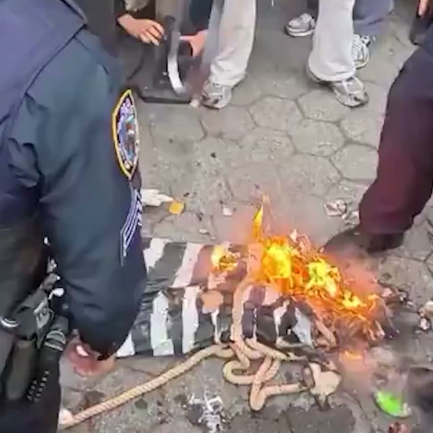 Protesters burn Netanyahu effigy near UN as 103 arrested in New York