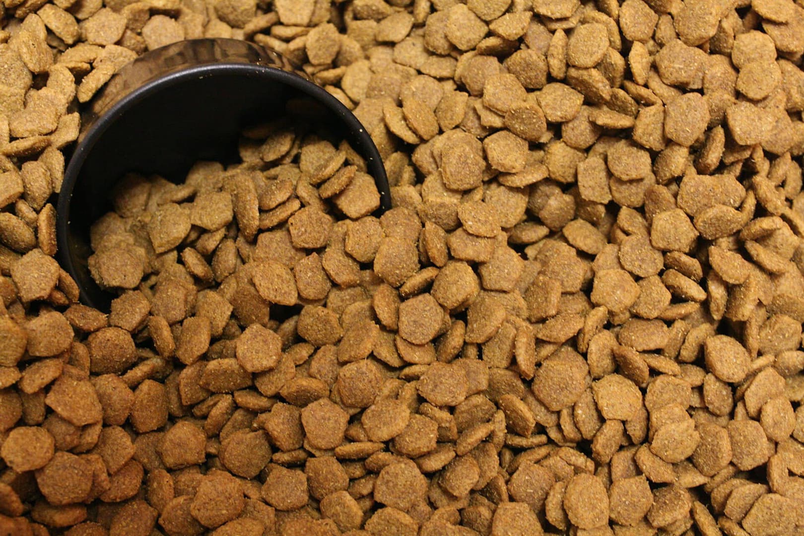 New York’ta 22 gıda bankasında ücretsiz kedi ve köpek maması dağıtılacak