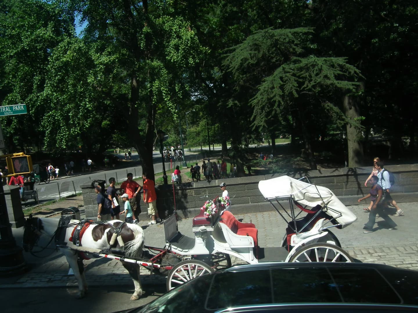 New York City Council votes to end Central Park horse carriages by 2028