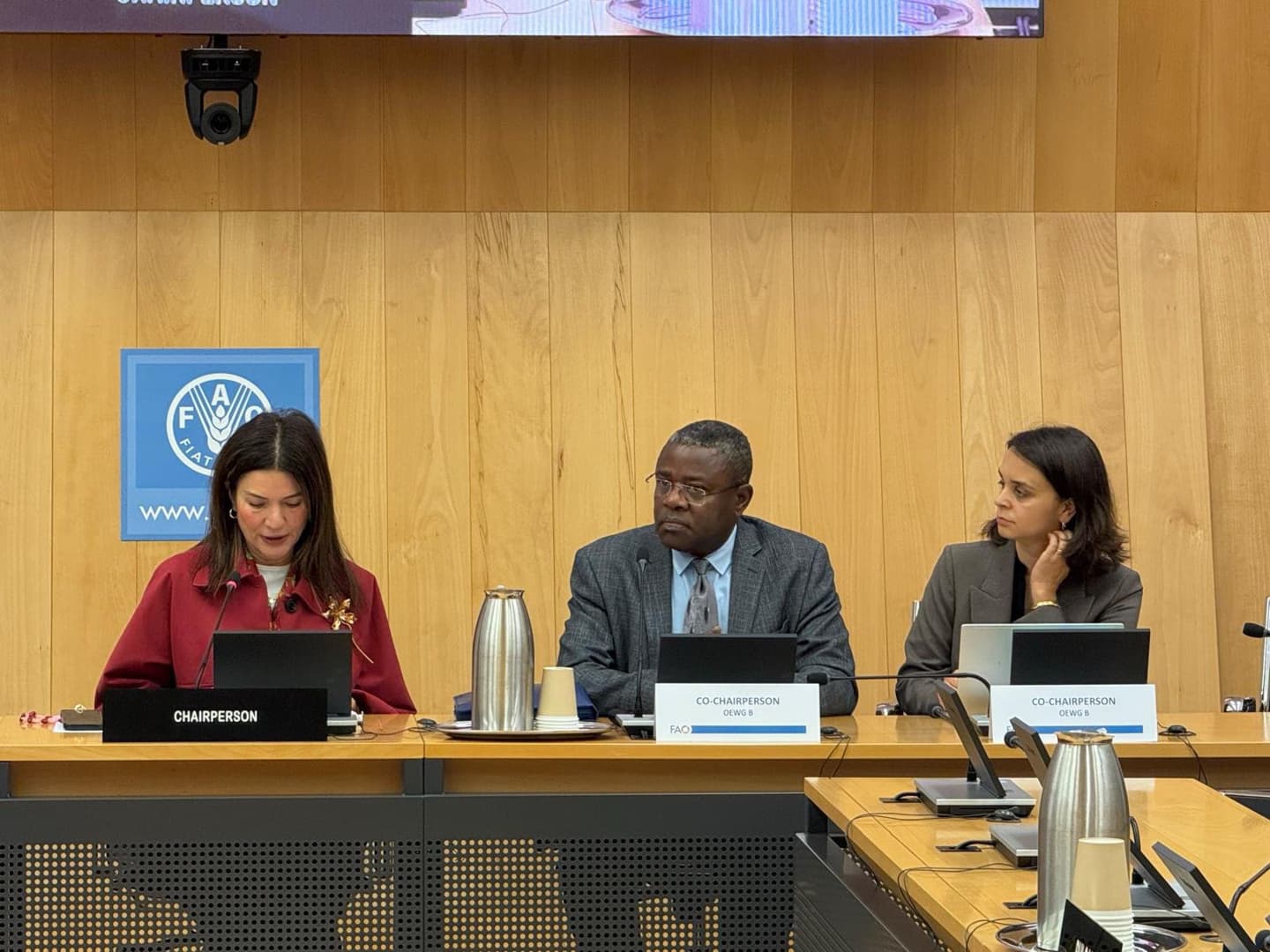 Türkiye chairs October meeting of FAO European Regional Group in Rome