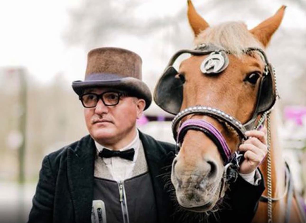 Turkish carriage driver whose horse died in Central Park seeks removal of toxic plants