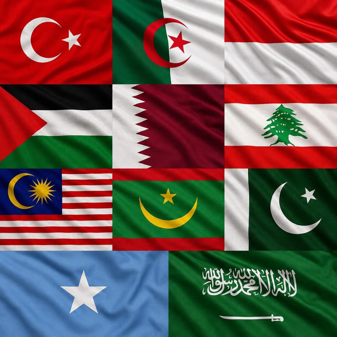 Türkiye and 11 Other Countries Condemn Israeli Strikes on Syria’s Abu al-Duhur Airbase